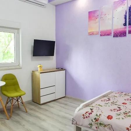 Holiday With 4 Studio